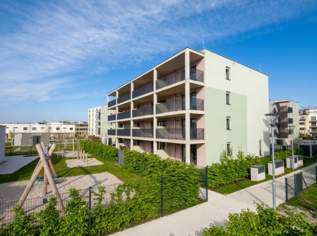 Ein viertel grün - gefördert , nachhaltig und schöner Wohnen, 0 €, Immobilien-Wohnungen in Niederösterreich Ein viertel grün - gefördert , nachhaltig und schöner Wohnen, 0 €, Immobilien-Wohnungen in Niederösterreich