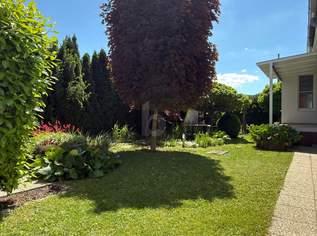 CHARMANTES STRECKHAUS MIT UNEINSEHBAREM & SONNIGEM OASE GARTEN, 0 €, Immobilien-Häuser in 7332 Kobersdorf CHARMANTES STRECKHAUS MIT UNEINSEHBAREM & SONNIGEM OASE GARTEN, 0 €, Immobilien-Häuser in 7332 Kobersdorf