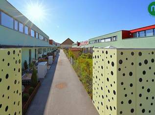 Reihenhaus mit Terrasse, Pool und Keller in Breitenleer Ruhelage, 389000 €, Immobilien-Häuser in 1220 Donaustadt