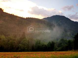 Traum-Baugrund in Semmering-Kurort, 1272m², 175000 €, Immobilien-Grund und Boden in 2680 Semmering - Kurort