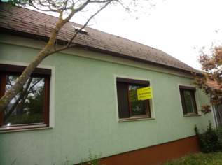 Gepflegtes Einfamilienhaus mit Potential!, 340000 €, Immobilien-Häuser in 7091 Gemeinde Breitenbrunn