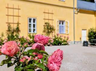 Altbau, 1760 €, Immobilien-Wohnungen in 4820 Bad Ischl