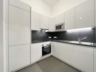 Stilvoll sanierte Altbauwohnung in bester Innenstadtlage – Ruheoase am Getreidemarkt, 1243.42 €, Immobilien-Wohnungen in 1010 Innere Stadt