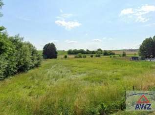 Großes Baugrundstück in der Nähe von Eggenburg zum Schnäppchenpreis!, 0 €, Immobilien-Grund und Boden in 3730 Eggenburg Großes Baugrundstück in der Nähe von Eggenburg zum Schnäppchenpreis!, 0 €, Immobilien-Grund und Boden in 3730 Eggenburg