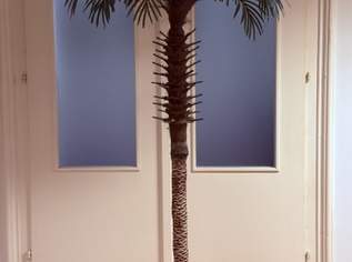 Kunstpflanze / Palme + zwei Blumentöpfe + zwei sonstige Dekoartikel, 60 €, Haus, Bau, Garten-Geschirr & Deko in 9400 Wolfsberg