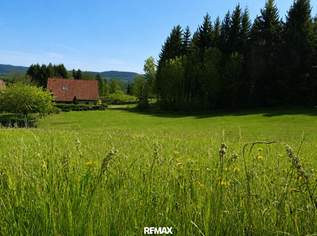 Baugrundstücke mit Wald und Quellen Nutzung - Nähe Golfclub Erzherzog Johann, 81800 €, Immobilien-Grund und Boden in 8591 Maria Lankowitz