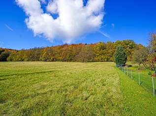 Großzügiges, naturnahes Grundstück in sonniger Ruhelage und mit herrlicher Aussicht, 420000 €, Immobilien-Grund und Boden in 3021 Pressbaum Großzügiges, naturnahes Grundstück in sonniger Ruhelage und mit herrlicher Aussicht, 420000 €, Immobilien-Grund und Boden in 3021 Pressbaum