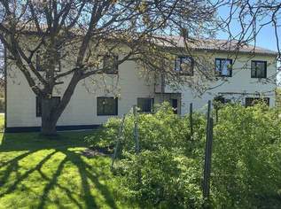 Älteres Haus mit ca. 1150 m² großem Grundstück!, 0 €, Immobilien-Grund und Boden in 4621 Sipbachzell Älteres Haus mit ca. 1150 m² großem Grundstück!, 0 €, Immobilien-Grund und Boden in 4621 Sipbachzell