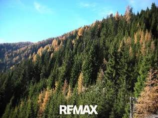 Forst- und Jagdliegenschaft in Oberkärnten, 3800000 €, Immobilien-Grund und Boden in 9800 Spittal an der Drau Forst- und Jagdliegenschaft in Oberkärnten, 3800000 €, Immobilien-Grund und Boden in 9800 Spittal an der Drau