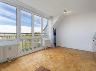 Ungehinderter Weitblick über die die Stadt: Ihre City - Donau - Maisonette, 222222 €, Immobilien-Wohnungen in 1200 Brigittenau