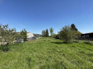 Sonniges Baugrundstück in naturnaher RUHELAGE | unmittelbare Nähe zu den Donau-Auen | Heurigen zu Fuß erreichbar, 167000 €, Immobilien-Grund und Boden in 2405 Bad Deutsch-Altenburg Sonniges Baugrundstück in naturnaher RUHELAGE | unmittelbare Nähe zu den Donau-Auen | Heurigen zu Fuß erreichbar, 167000 €, Immobilien-Grund und Boden in 2405 Bad Deutsch-Altenburg