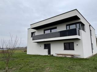 Endlich Zuhause: modern-schlicht-geräumig, 530000 €, Immobilien-Häuser in 4343 Mitterkirchen im Machland