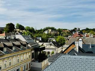 Penthouse mit gigantischer Terrasse, 2175000 €, Immobilien-Wohnungen in 1190 Döbling