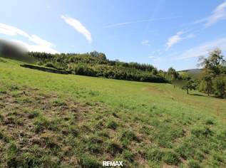 Ihr Platz fürs Eigenheim - Großzügiges Baugrundstück am Schmiedberg in Weißkirchen an der Traun, 260000 €, Immobilien-Grund und Boden in 4616 Weißkirchen an der Traun Ihr Platz fürs Eigenheim - Großzügiges Baugrundstück am Schmiedberg in Weißkirchen an der Traun, 260000 €, Immobilien-Grund und Boden in 4616 Weißkirchen an der Traun
