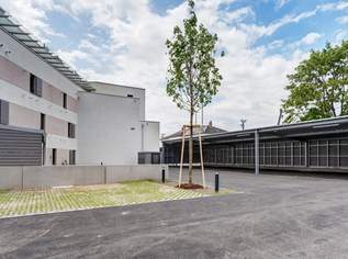Parkplätze in Bahnhofsnähe zu Vermieten, 70 €, Immobilien-Kleinobjekte & WGs in 2232 Deutsch-Wagram