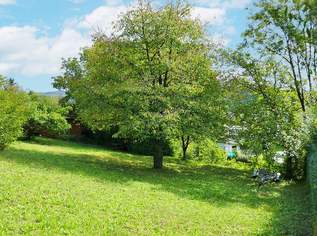 Baugrund auf leichtem Südhang in idyllischer Lage in Tulln-Nähe, 450000 €, Immobilien-Grund und Boden in 3434 Katzelsdorf