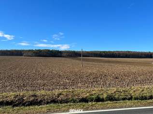 GROSSE landwirtschaftliche Flächen (ca. 27 ha!) und ein Waldgrundstück! Auch Teilkauf möglich! BEZIRK OBERWART!, 0 €, Immobilien-Gewerbeobjekte in 7400 Oberwart