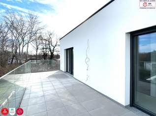 LETZTE DOPPELHAUSHÄLFTE / 153 m² / nur 8 Minuten nach Tulln, 539000 €, Immobilien-Häuser in 3430 Neuaigen