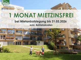 Neubauwohnung mit Stadtanbindung – zentral & stilvoll. - WOHNTRAUM, 718.77 €, Immobilien-Wohnungen in 8020 