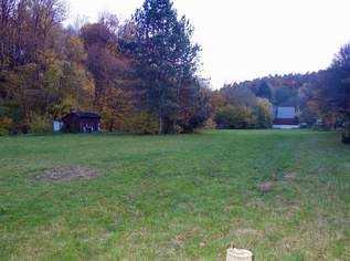 TRAUMHAFTES GRUNDSTÜCK MIT TEICH AM STEINRIEGL, 1218000 €, Immobilien-Grund und Boden in 3413 Hintersdorf