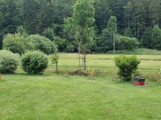 Wohnung im Grünen, 600 €, Immobilien-Wohnungen in 2663 Gemeinde Rohr im Gebirge Wohnung im Grünen, 600 €, Immobilien-Wohnungen in 2663 Gemeinde Rohr im Gebirge