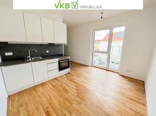 Kleinwohnung im VKB Park Mercurius-Fertigstellung ca. Sommer 2023, 339.5 €, Immobilien-Wohnungen in 4600 Wels