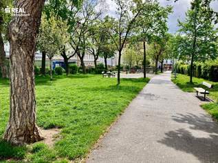 HELLE, bestens eingeteilte 2 ZIMMER WOHNUNG - BARRIEREFREI, 899.48 €, Immobilien-Wohnungen in 1160 Ottakring