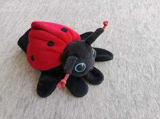 Handpuppe Marienkäfer, FIXPREIS 6€ /NUR SELBSTABHOLUNG,23 Bez. KEIN Versand!!!!!!! , 6 €, Kindersachen-Spielzeug in 1230 Liesing Handpuppe Marienkäfer, FIXPREIS 6€ /NUR SELBSTABHOLUNG,23 Bez. KEIN Versand!!!!!!! , 6 €, Kindersachen-Spielzeug in 1230 Liesing