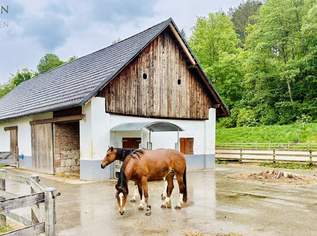 Exklusives Reitanwesen mit 6 Wohneinheiten & Bauland in traumhafter Lage nahe dem Klopeiner See, 1320000 €, Immobilien-Häuser in 9122 Stein im Jauntal Exklusives Reitanwesen mit 6 Wohneinheiten & Bauland in traumhafter Lage nahe dem Klopeiner See, 1320000 €, Immobilien-Häuser in 9122 Stein im Jauntal