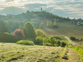 2 ERSCHLOSSSENE BAUGRÜNDE MIT OBSTBAUMBESTAND UND WEINREBEN IN DER SÜDOSTSTEIERMARK, 95000 €, Immobilien-Grund und Boden in 8345 Straden 2 ERSCHLOSSSENE BAUGRÜNDE MIT OBSTBAUMBESTAND UND WEINREBEN IN DER SÜDOSTSTEIERMARK, 95000 €, Immobilien-Grund und Boden in 8345 Straden