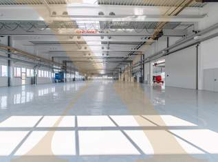 Gewerbehalle - Neubau - mit Kränen und optimaler Verkehrsanbindung in Marchtrenk zu verkaufen!, 15500000 €, Immobilien-Gewerbeobjekte in 4614 Marchtrenk