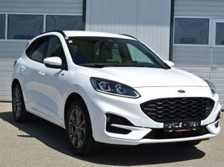 Kuga 2.5 DURATEC PHEV ** ST-LINE X * LED *KAMERA, 21790 €, Auto & Fahrrad-Autos in 4693 Desselbrunn Kuga 2.5 DURATEC PHEV ** ST-LINE X * LED *KAMERA, 21790 €, Auto & Fahrrad-Autos in 4693 Desselbrunn