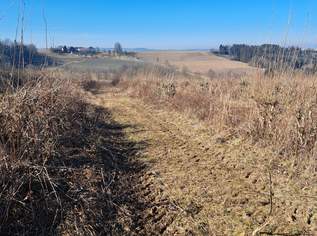 Exklusives Weinbaugrundstück, Südhang in sonniger Lage!, 461175 €, Immobilien-Grund und Boden in 4942 Wippenham