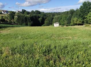 Sonniges Grundstück mit Wiese und Wald in Ruhelage in der Thermenregion!, 130000 €, Immobilien-Grund und Boden in 7574 Burgauberg