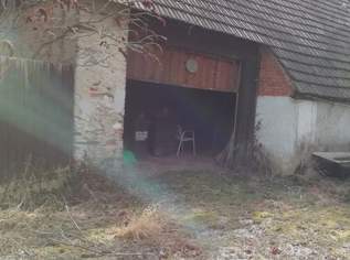 Ebener Bauplatz, Althaus, Stadl, Nähe Horn, Poigen, 75000 €, Immobilien-Häuser in 3580 Gemeinde St. Bernhard-Frauenhofen
