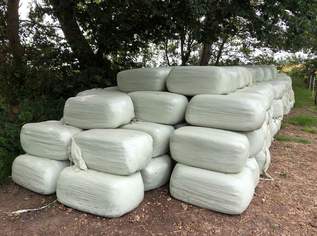BIO Gärheu Heulage Silage Kleinballen, 15 €, Marktplatz-Tiere & Tierbedarf in 3622 Gemeinde Mühldorf
