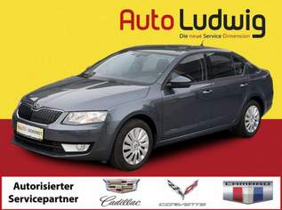 Octavia 2,0 TDI Ambition*PDC*TEMPOMAT*REGENSENSOR*, 8980 €, Auto & Fahrrad-Autos in 1230 Liesing