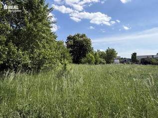 Bauträger aufgepasst - acht Grundstücke nebeneinander - seltene Gelegenheit in Neusiedl am See, 287640 €, Immobilien-Grund und Boden in 7100 Gemeinde Neusiedl am See Bauträger aufgepasst - acht Grundstücke nebeneinander - seltene Gelegenheit in Neusiedl am See, 287640 €, Immobilien-Grund und Boden in 7100 Gemeinde Neusiedl am See