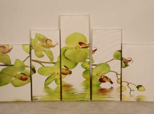 Wandbild 5-teilig, ORCHIDEEN, 59 €, Haus, Bau, Garten-Geschirr & Deko in 1200 Brigittenau
