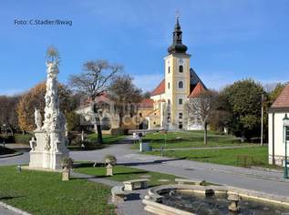 Einfamilienhaus Weikendorf, 385000 €, Immobilien-Häuser in 2253 Gemeinde Weikendorf Einfamilienhaus Weikendorf, 385000 €, Immobilien-Häuser in 2253 Gemeinde Weikendorf