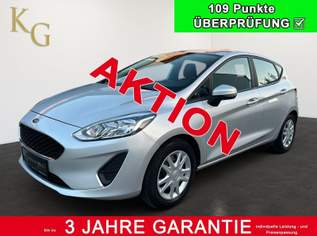 Fiesta 1,1 ab ca. 169€ monatlich