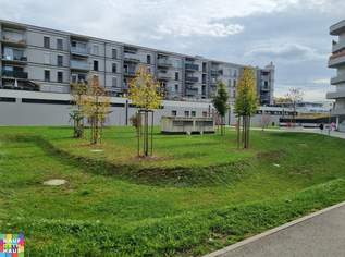 PROVISIONSFREI!, 912.89 €, Immobilien-Wohnungen in 8054 