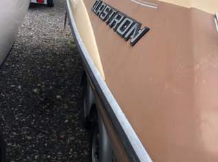 Glastron Umbau für Neusiedlersee Elektro Glastron Umbau für Neusiedlersee Elektro