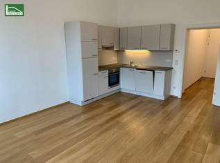 DIREKT BEIM AKH! SANIERTE KLEINWOHNUNG! 2 MIN ZUR U6! INKL. EINBAUKÜCHE. BEFRISTET VERMIETET. - WOHNTRAUM, 196000.95 €, Immobilien-Wohnungen in 1090 Alsergrund