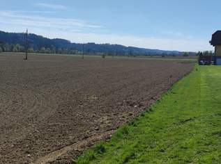 ++GEWERBEGRUNDSTÜCK ca. 20.0000 m² im GROßRAUM von GRAZ und LEIBNITZ++ PERFEKTE VORRAUSSETZUNGEN für BETRIEBSANSIEDLUNG gegeben++ BD 0,2 - 0,6++, 1600000 €, Immobilien-Gewerbeobjekte in 8081 Heiligenkreuz am Waasen
