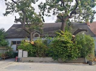 Sanierungsbedürftiges Haus auf 1580m² Grundstück, 470000 €, Immobilien-Häuser in 2320 Schwechat Sanierungsbedürftiges Haus auf 1580m² Grundstück, 470000 €, Immobilien-Häuser in 2320 Schwechat
