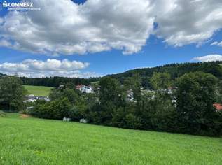 „Frische Luft, Sonne & Ruhe“, 45000 €, Immobilien-Grund und Boden in 2871 Gemeinde Zöbern