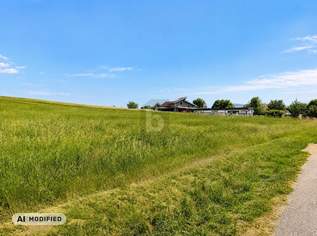 UNVERBAUBAR IN SONNIGER GRÜNLAGE, 115000 €, Immobilien-Grund und Boden in 4920 Schildorn UNVERBAUBAR IN SONNIGER GRÜNLAGE, 115000 €, Immobilien-Grund und Boden in 4920 Schildorn