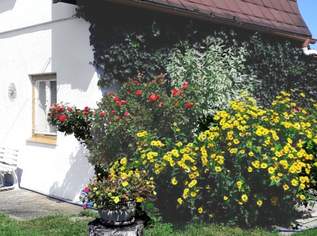 Alte Donau (ca. 200m) Grundstück in traumhafter Wasserlage, 569000 €, Immobilien-Grund und Boden in 1220 Donaustadt Alte Donau (ca. 200m) Grundstück in traumhafter Wasserlage, 569000 €, Immobilien-Grund und Boden in 1220 Donaustadt