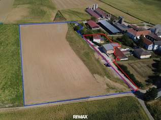 Großzügiges Einfamilienhaus mit Werkstatt und ca. 2 ha Ackerfläche, 1240000 €, Immobilien-Häuser in 3042 Würmla